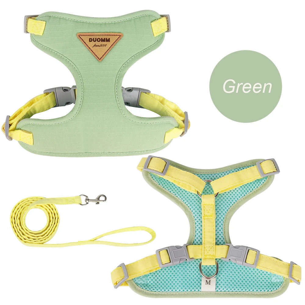 Cat Outdoor Walking Leash