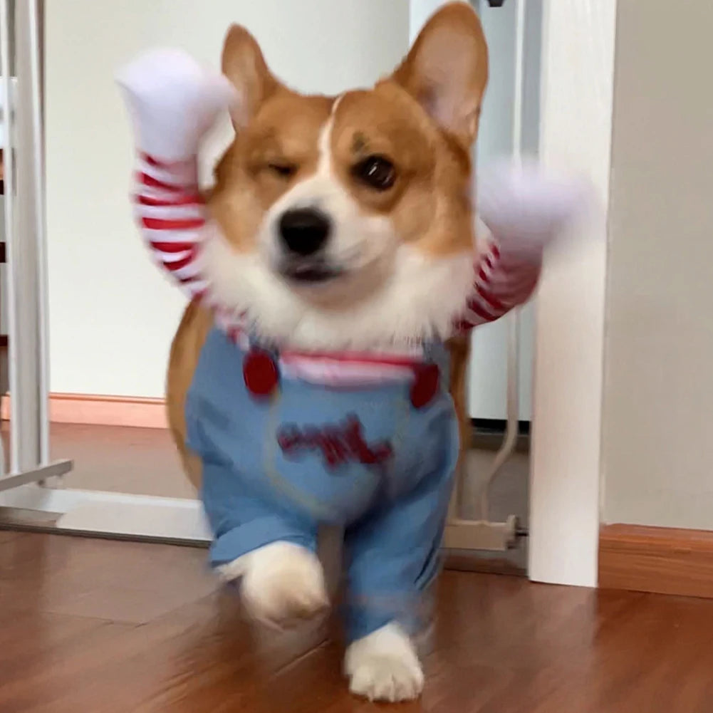 Halloween Dog Costumes