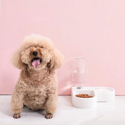 Pet Feeding Bowl for Cats and Small Dogs
