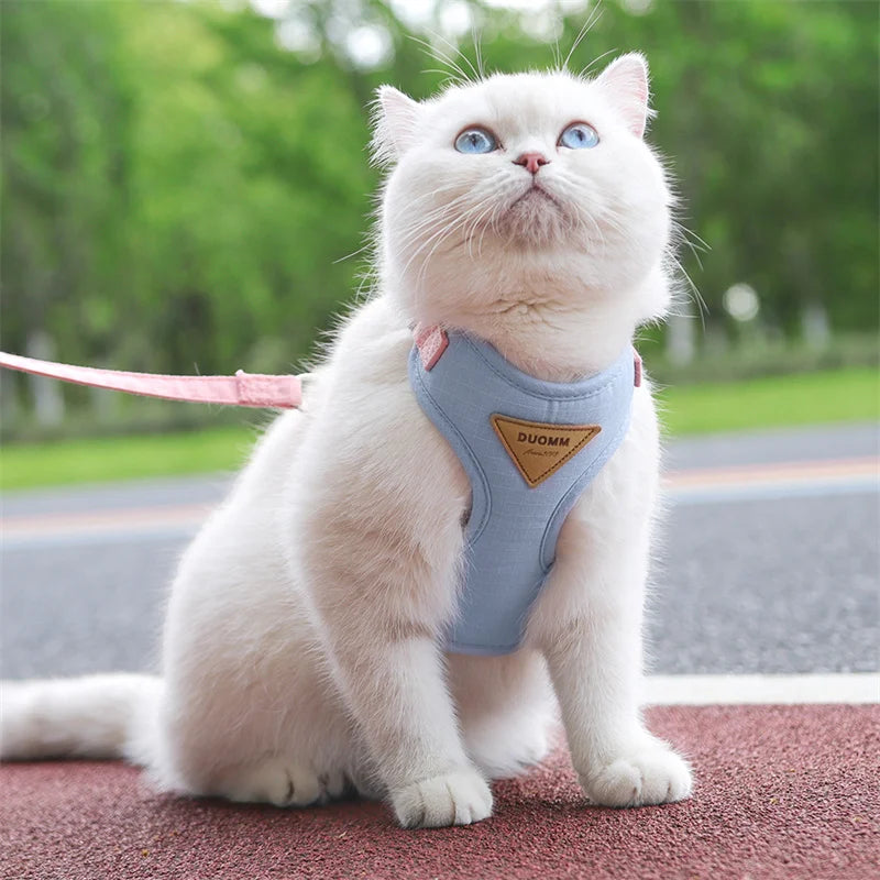 Cat Outdoor Walking Leash