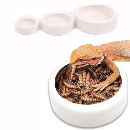 Water Dispenser for Cats and Dogs