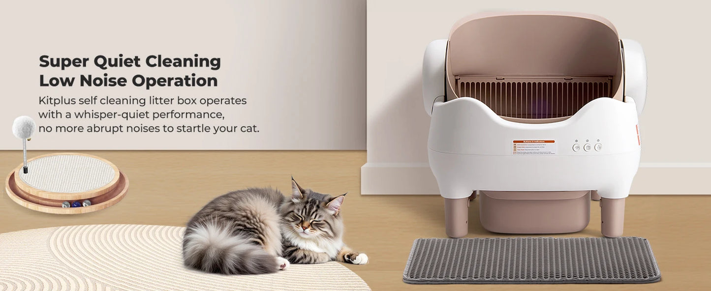 Automatic Self Cleaning Litter Box