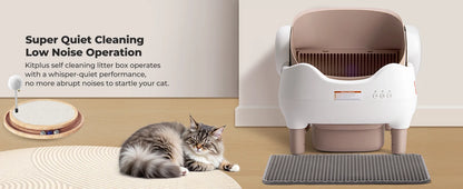 Automatic Self Cleaning Litter Box