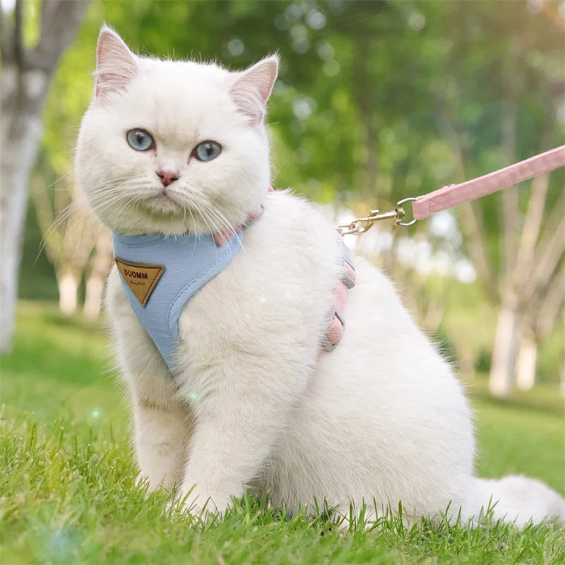 Cat Outdoor Walking Leash