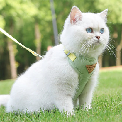 Cat Outdoor Walking Leash
