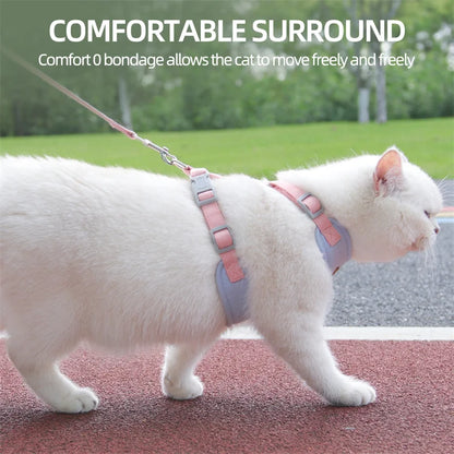 Cat Outdoor Walking Leash